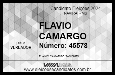 Candidato FLAVIO CAMARGO 2024 - NAVIRAÍ - Eleições