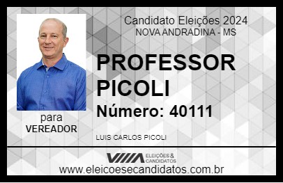 Candidato PROFESSOR PICOLI 2024 - NOVA ANDRADINA - Eleições