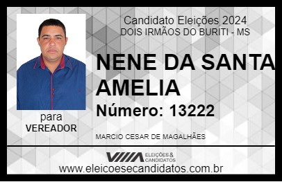 Candidato NENE DA SANTA AMELIA 2024 - DOIS IRMÃOS DO BURITI - Eleições