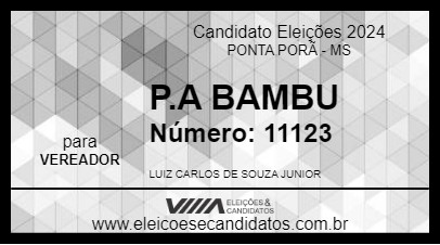 Candidato P.A BAMBU 2024 - PONTA PORÃ - Eleições