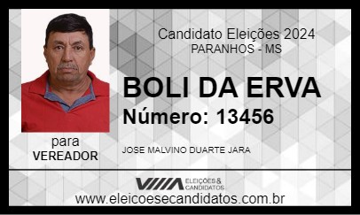 Candidato BOLI DA ERVA 2024 - PARANHOS - Eleições