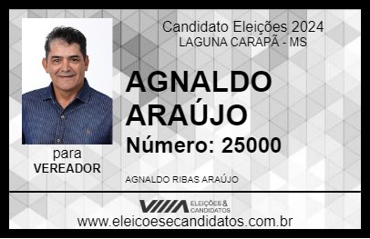 Candidato AGNALDO ARAÚJO 2024 - LAGUNA CARAPÃ - Eleições