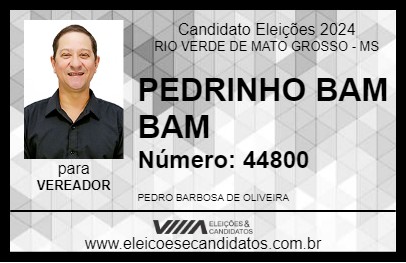 Candidato PEDRINHO BAM BAM 2024 - RIO VERDE DE MATO GROSSO - Eleições