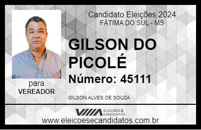 Candidato GILSON DO PICOLÉ 2024 - FÁTIMA DO SUL - Eleições