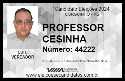 Candidato PROFESSOR CESINHA 2024 - CORGUINHO - Eleições