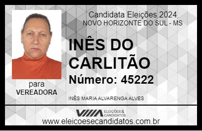 Candidato INÊS DO CARLITÃO 2024 - NOVO HORIZONTE DO SUL - Eleições