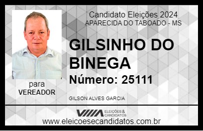 Candidato GILSINHO DO BINEGA 2024 - APARECIDA DO TABOADO - Eleições