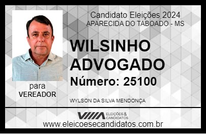 Candidato WILSINHO ADVOGADO 2024 - APARECIDA DO TABOADO - Eleições