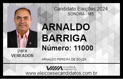 Candidato ARNALDO BARRIGA 2024 - SONORA - Eleições