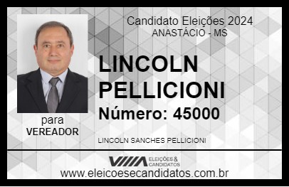 Candidato LINCOLN PELLICIONI 2024 - ANASTÁCIO - Eleições