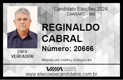 Candidato REGINALDO CABRAL 2024 - CAARAPÓ - Eleições