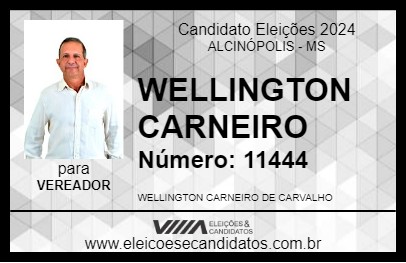 Candidato WELLINGTON CARNEIRO 2024 - ALCINÓPOLIS - Eleições