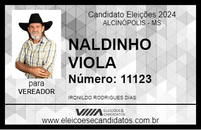 Candidato NALDINHO VIOLA 2024 - ALCINÓPOLIS - Eleições