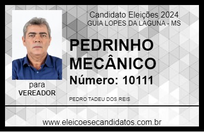 Candidato PEDRINHO MECÂNICO 2024 - GUIA LOPES DA LAGUNA - Eleições