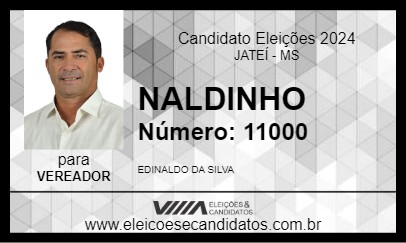 Candidato NALDINHO 2024 - JATEÍ - Eleições