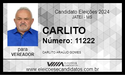 Candidato CARLITO 2024 - JATEÍ - Eleições