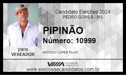 Candidato PIPINÃO 2024 - PEDRO GOMES - Eleições