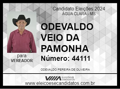 Candidato ODEVALDO VEIO DA  PAMONHA 2024 - ÁGUA CLARA - Eleições