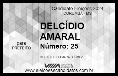 Candidato DELCÍDIO AMARAL 2024 - CORUMBÁ - Eleições