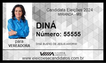 Candidato DINÁ 2024 - MIRANDA - Eleições