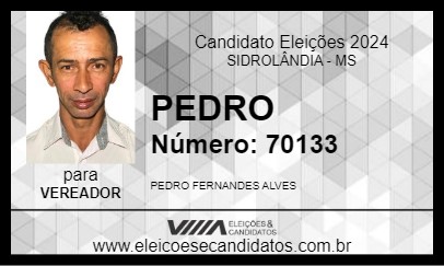 Candidato PEDRO 2024 - SIDROLÂNDIA - Eleições