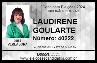 Candidato LAUDIRENE GOULARTE 2024 - RIBEIRÃOZINHO - Eleições