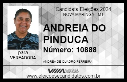 Candidato ANDREIA DO PINDUCA 2024 - NOVA MARINGÁ - Eleições