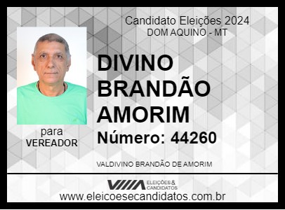 Candidato DIVINO BRANDÃO AMORIM 2024 - DOM AQUINO - Eleições