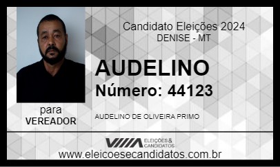 Candidato AUDELINO 2024 - DENISE - Eleições