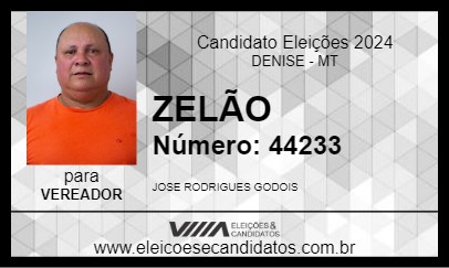 Candidato ZELÃO 2024 - DENISE - Eleições