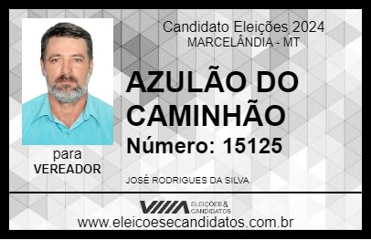 Candidato AZULÃO DO CAMINHÃO 2024 - MARCELÂNDIA - Eleições