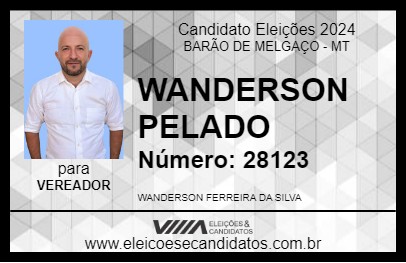 Candidato WANDERSON PELADO 2024 - BARÃO DE MELGAÇO - Eleições