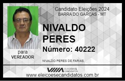 Candidato NIVALDO PERES 2024 - BARRA DO GARÇAS - Eleições