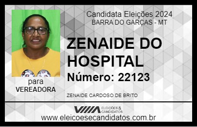 Candidato ZENAIDE DO HOSPITAL 2024 - BARRA DO GARÇAS - Eleições