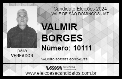 Candidato VALMIR BORGES 2024 - VALE DE SÃO DOMINGOS - Eleições