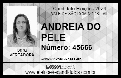 Candidato ANDREIA DO PELE 2024 - VALE DE SÃO DOMINGOS - Eleições