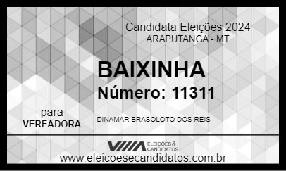 Candidato BAIXINHA 2024 - ARAPUTANGA - Eleições