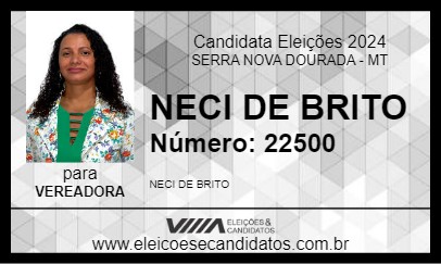 Candidato NECI DE BRITO 2024 - SERRA NOVA DOURADA - Eleições