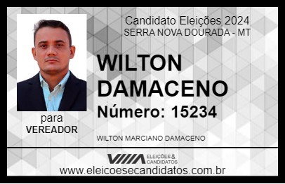 Candidato WILTON DAMACENO 2024 - SERRA NOVA DOURADA - Eleições