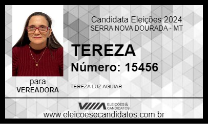 Candidato TEREZA 2024 - SERRA NOVA DOURADA - Eleições