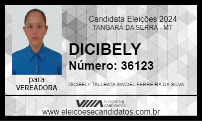 Candidato DICIBELY 2024 - TANGARÁ DA SERRA - Eleições