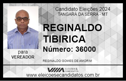 Candidato REGINALDO TIBIRICA 2024 - TANGARÁ DA SERRA - Eleições