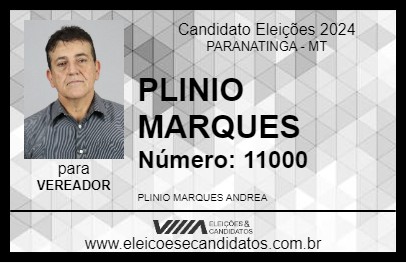 Candidato PLINIO MARQUES 2024 - PARANATINGA - Eleições