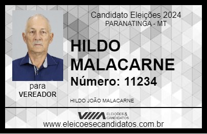 Candidato HILDO MALACARNE 2024 - PARANATINGA - Eleições