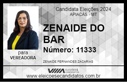 Candidato ZENAIDE DO BAR 2024 - APIACÁS - Eleições