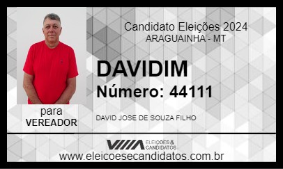 Candidato DAVIDIM 2024 - ARAGUAINHA - Eleições