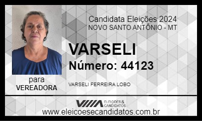 Candidato VARSELI 2024 - NOVO SANTO ANTÔNIO - Eleições