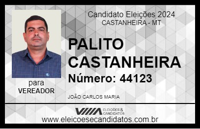 Candidato PALITO CASTANHEIRA 2024 - CASTANHEIRA - Eleições