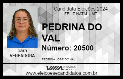 Candidato PEDRINA DO VAL 2024 - FELIZ NATAL - Eleições