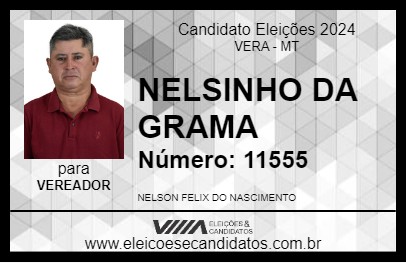 Candidato NELSINHO DA GRAMA 2024 - VERA - Eleições